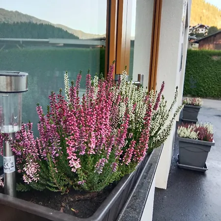 Haueis Apartment Tumpen