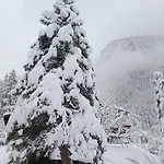 Haueis Tumpen